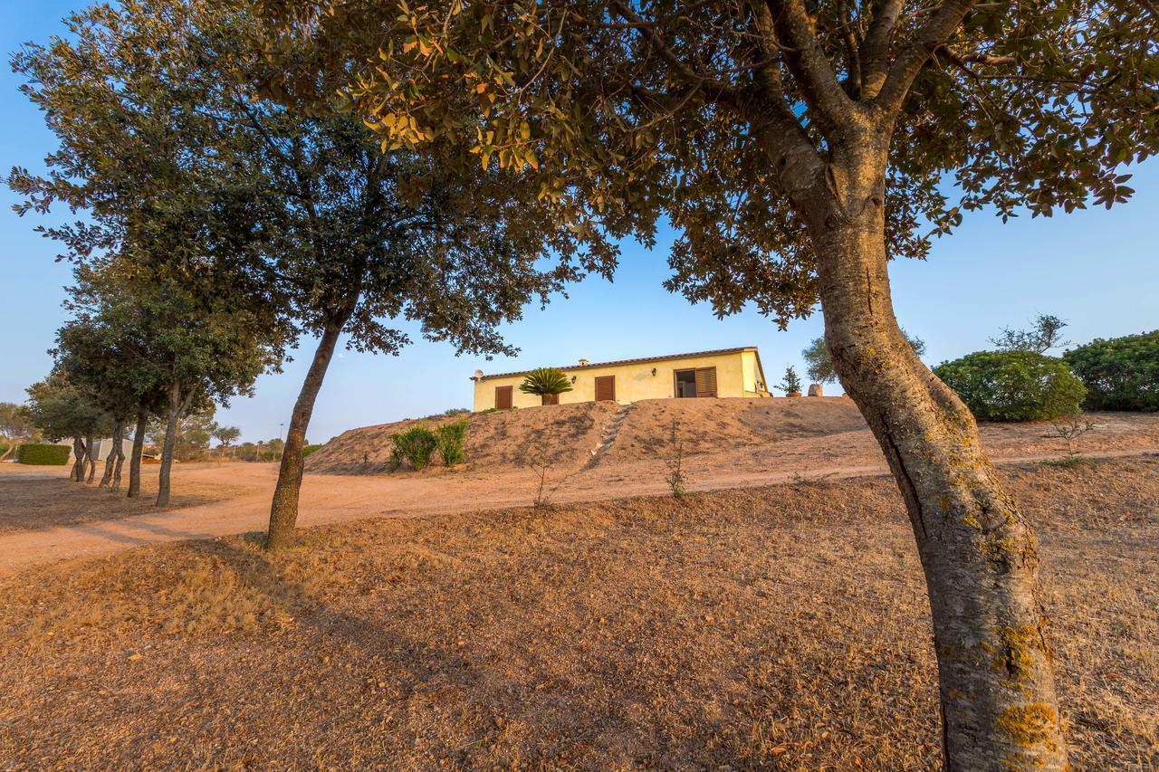Molti Mari B&B Resort Olbia Kültér fotó